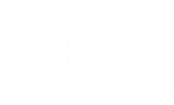 The Teacher Foundation