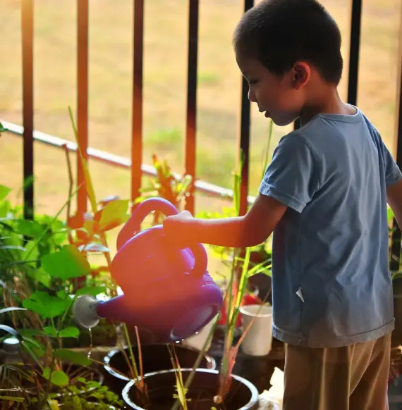 Ecological Literacy In Action